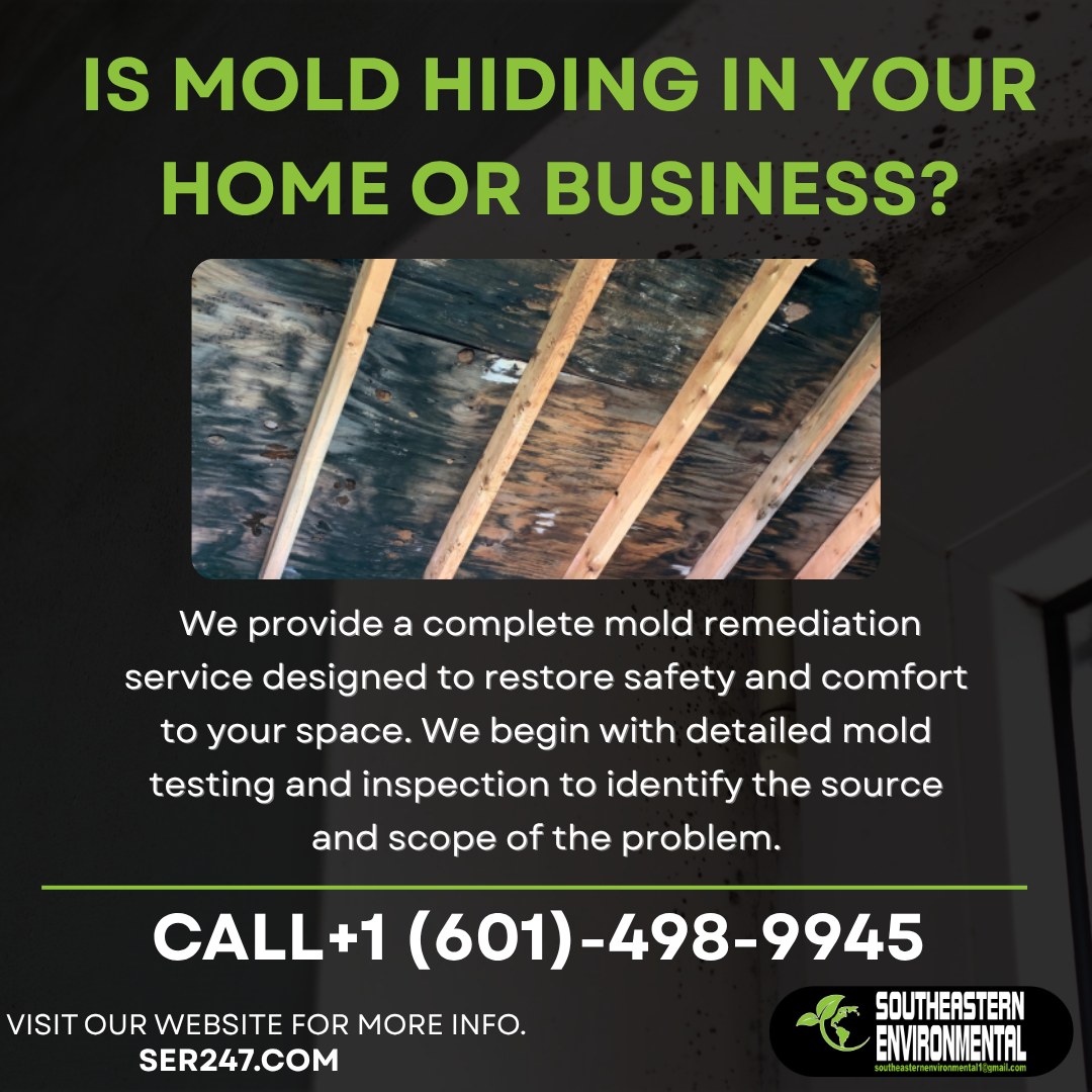 Mold Remediation Project